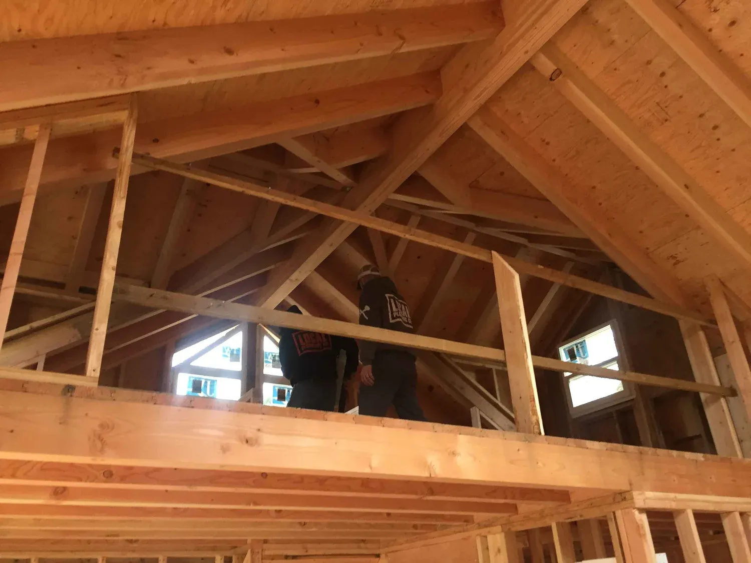 Exposed timber ceiling and roof framing during ADU construction